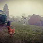 őrségi Katicás * Viszák
