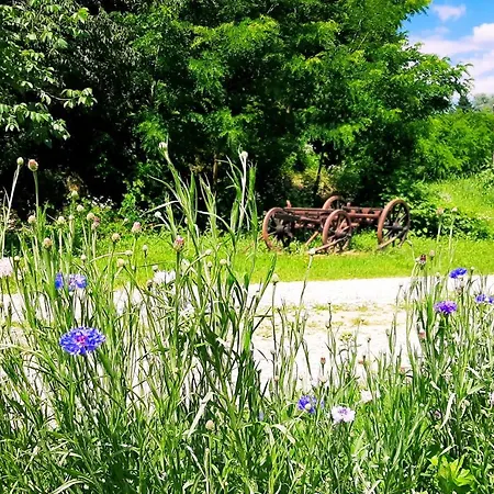 Orsegi Katicas Vendeghaz