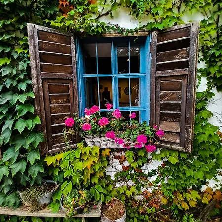 Orsegi Katicas Vendeghaz *