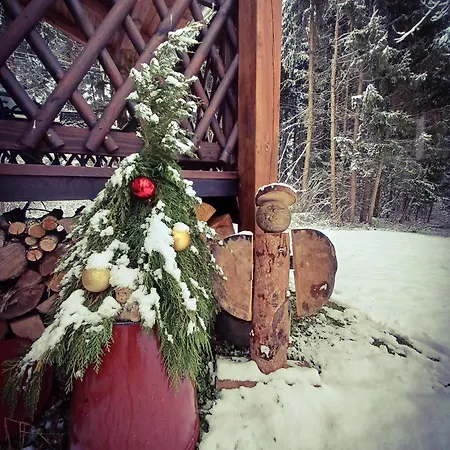 아파트 Orsegi Katicas Vendeghaz Viszák