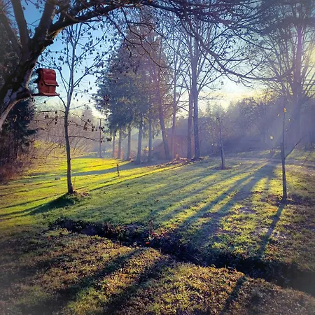 Orsegi Katicas Vendeghaz * Viszák