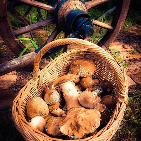 아파트 Orsegi Katicas Vendeghaz