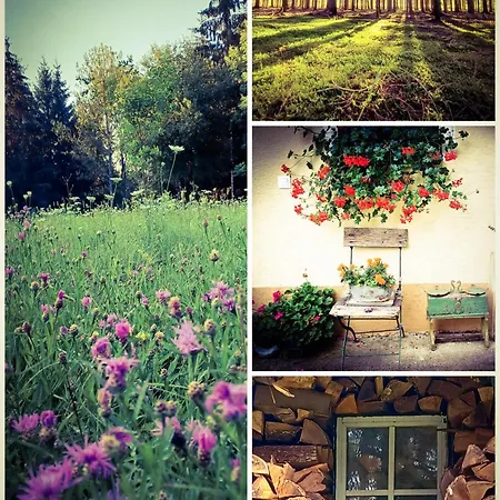 아파트 Orsegi Katicas Vendeghaz