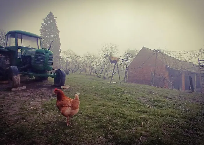 őrségi Katicás * Viszák